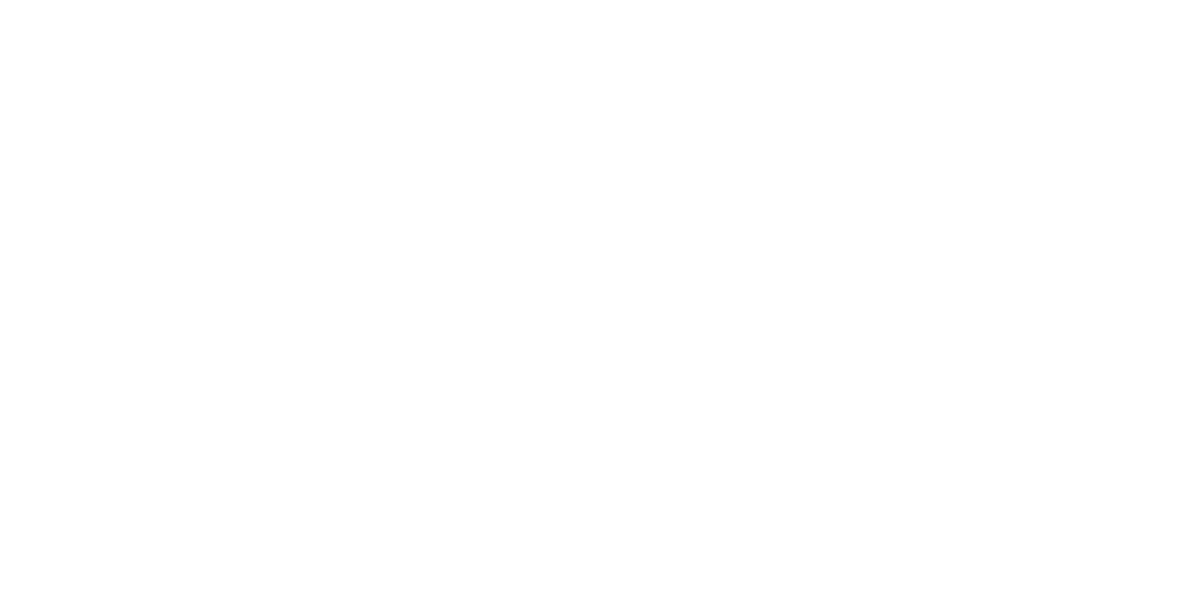 Transition Wealth